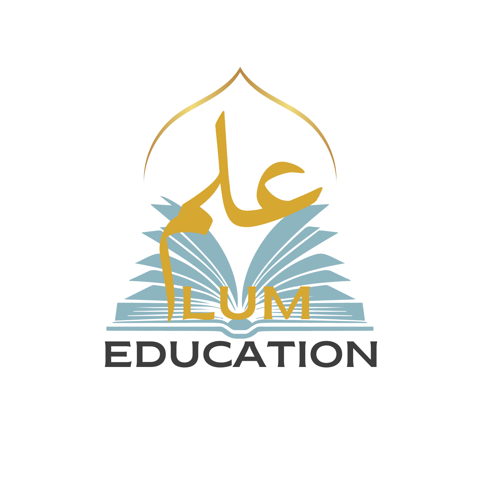 ILUM Education